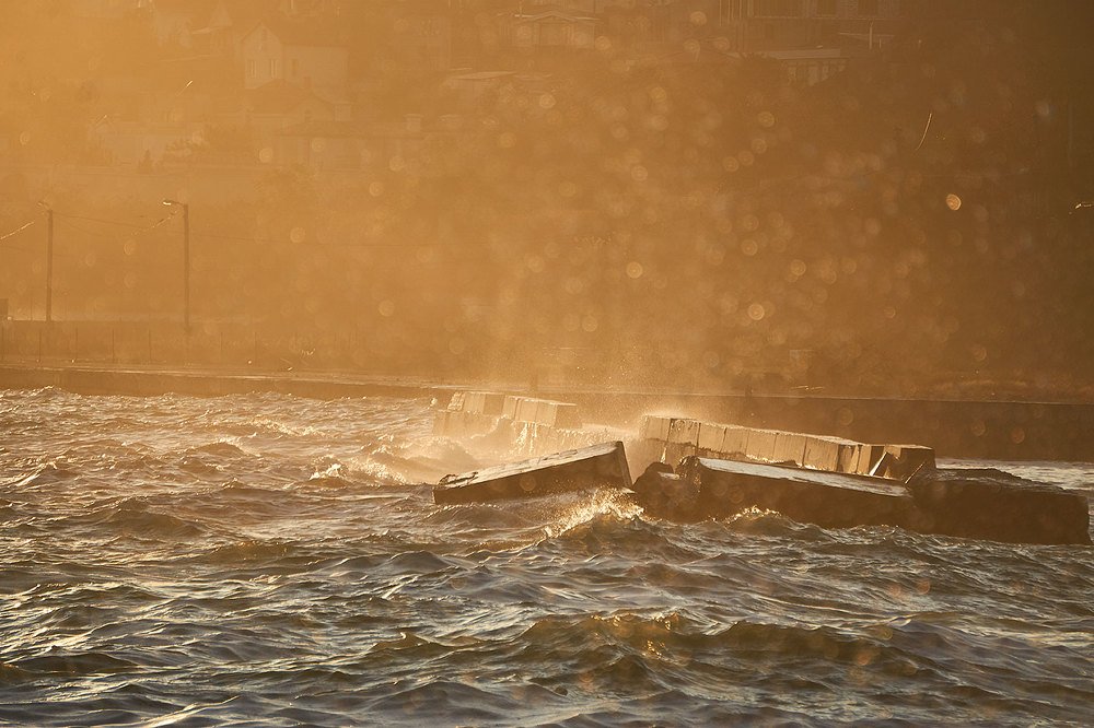 Photograph by Екатерина Ким