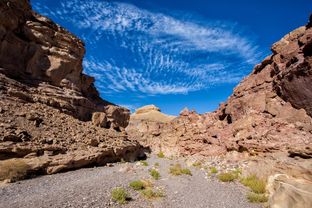 Photograph by Olia Kovryhina (Kudrina)