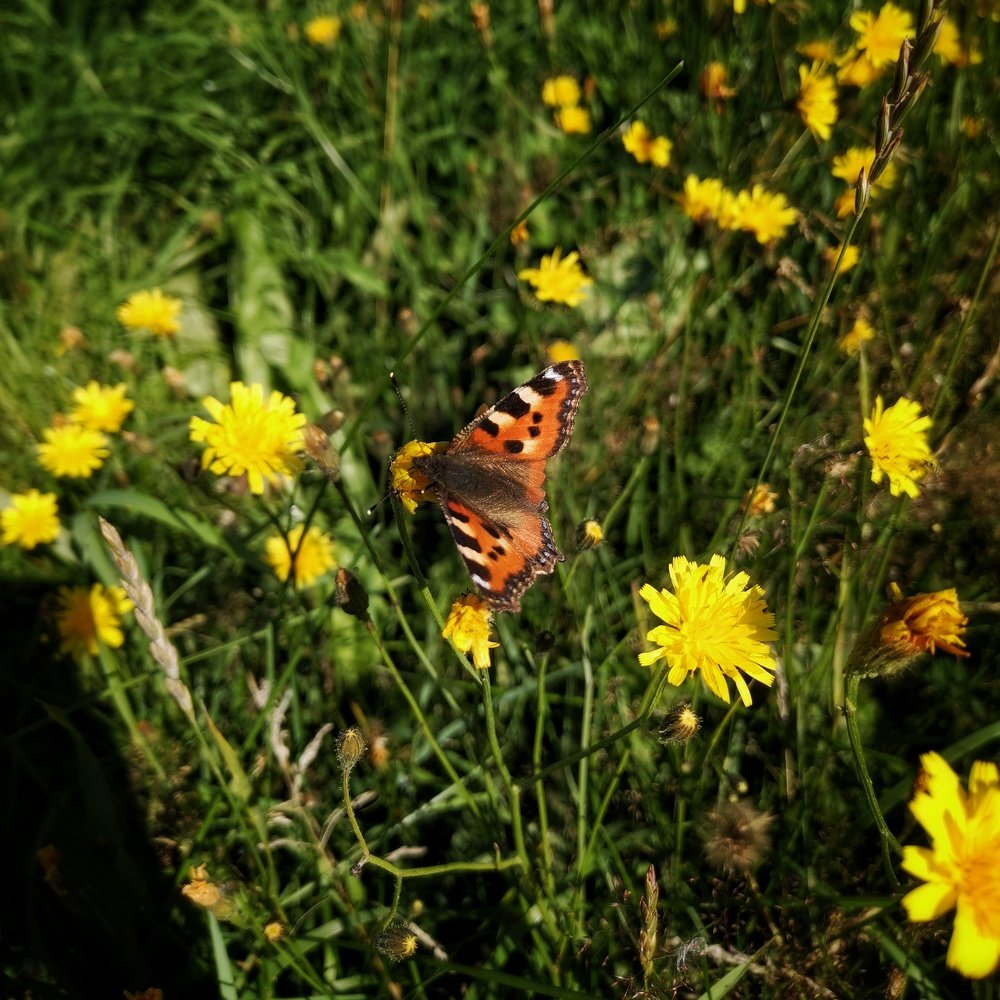 Photograph by Иван Белянин