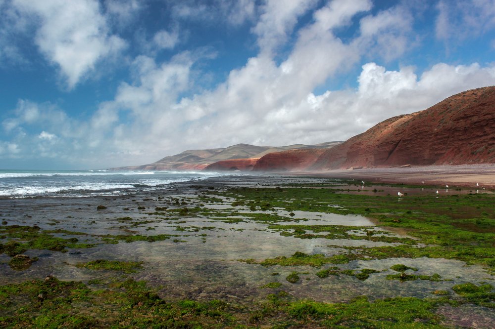 Photograph by Оксана Старостина