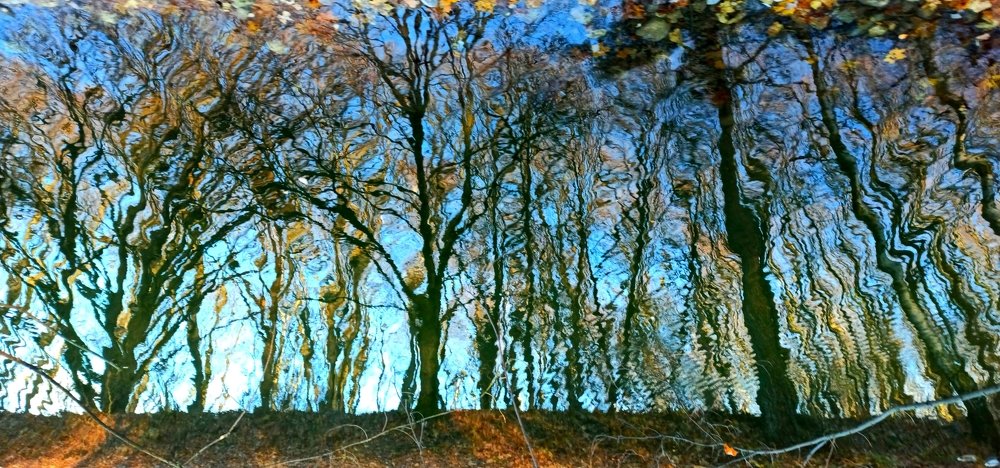 Photograph by Борис Каширин