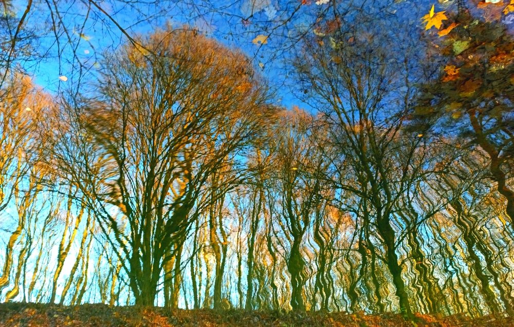 Photograph by Борис Каширин