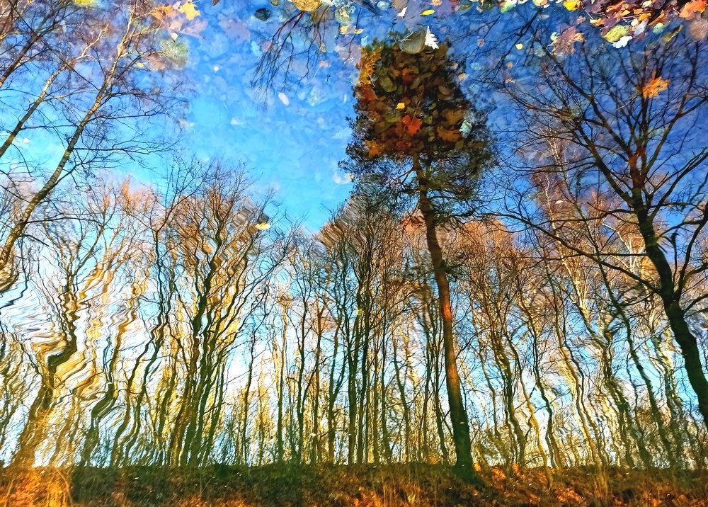 Осеннее отражение