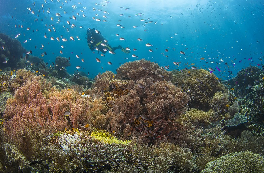 Photograph by Сергей Федоренко