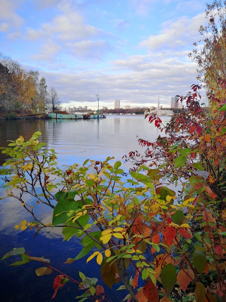 Краски середины октября...