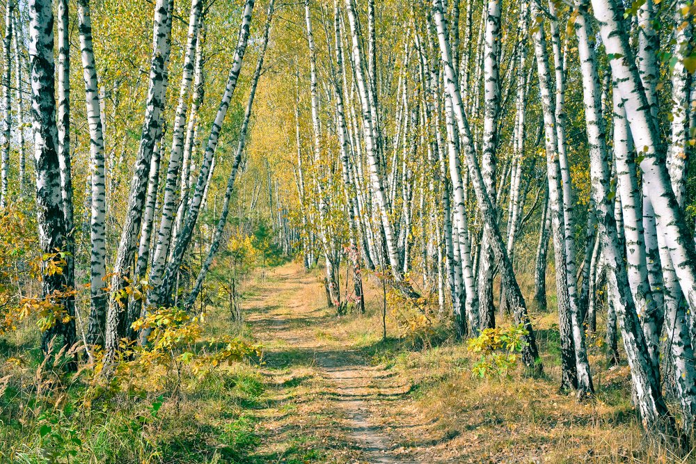 Photograph by Ольга Мендоса