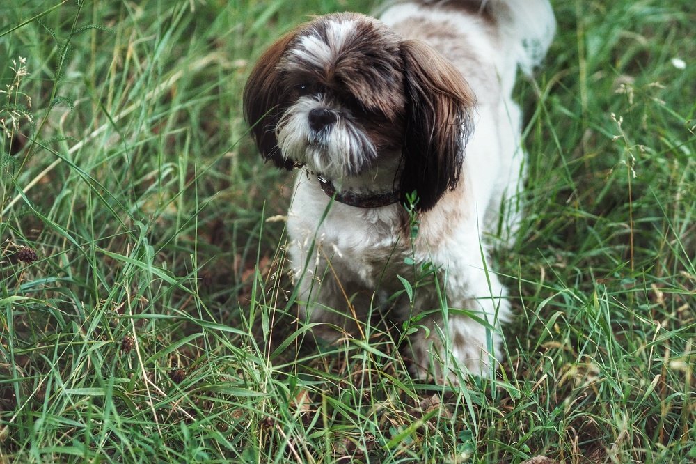 Photograph by Антон Е