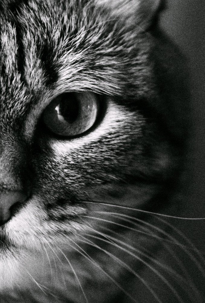 Photograph by Антон Е