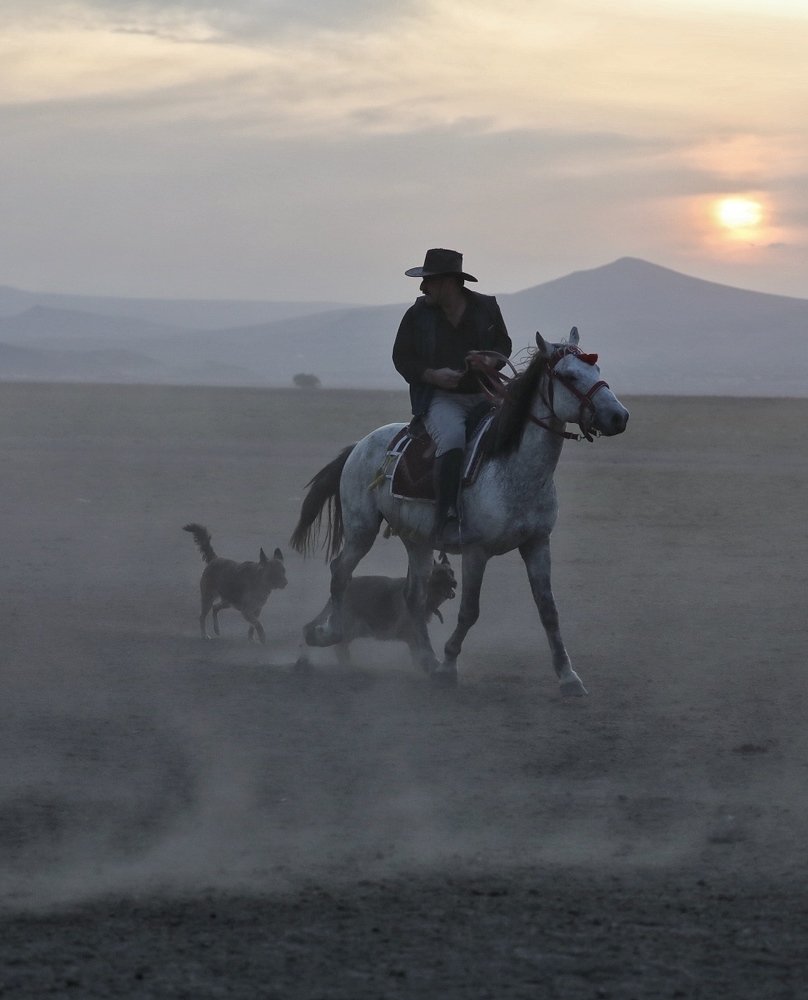 Photograph by Ольга Одаренко