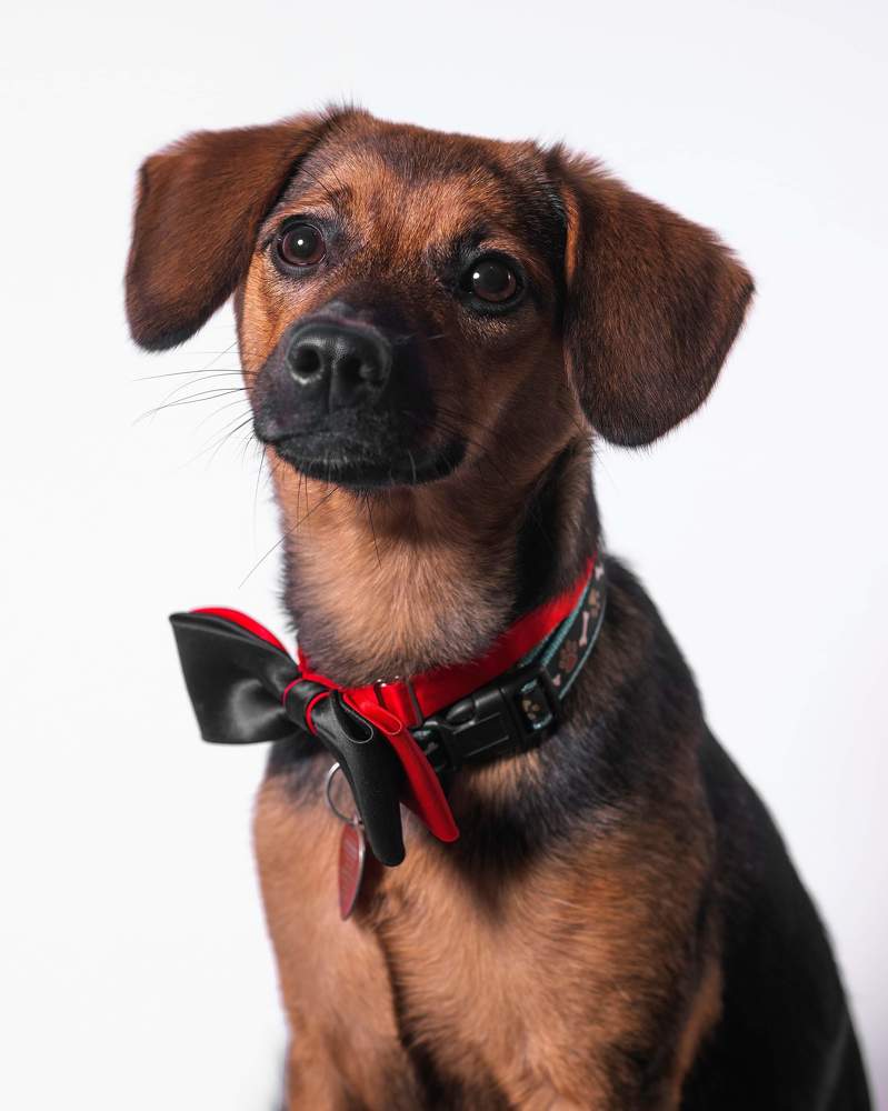 Photograph by Janusz Osika