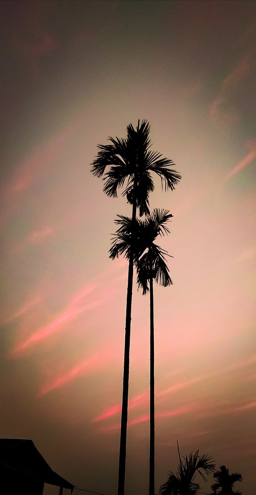 Photograph by Dipesh Lama