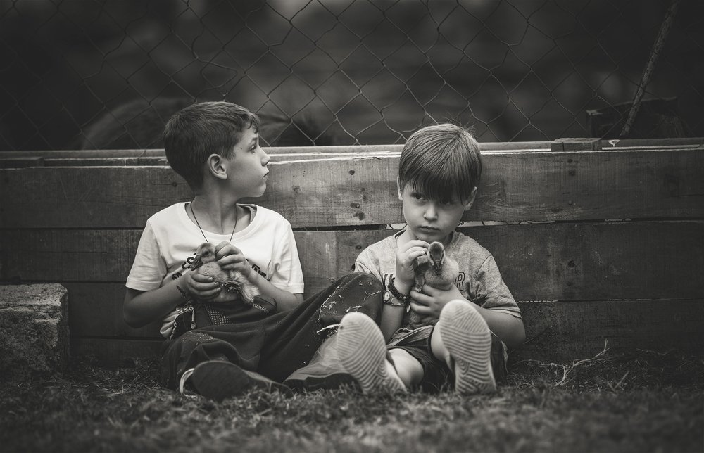 Photograph by Dimitris Vavliaras