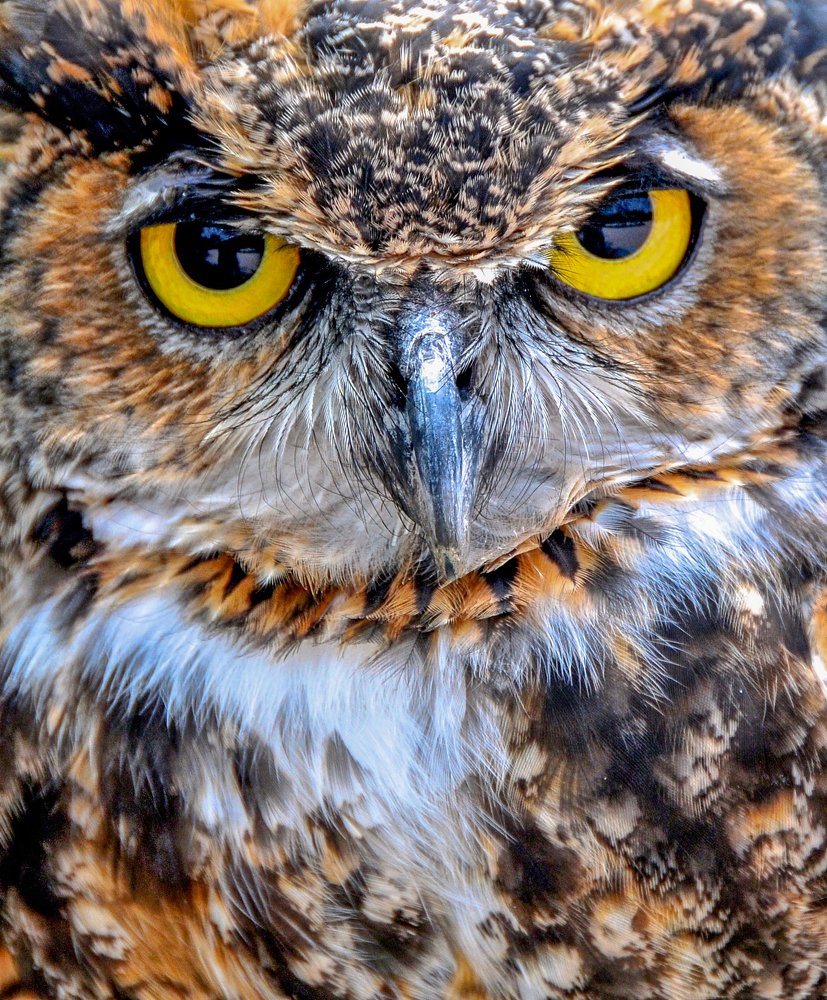 Photograph by Ricardo Ubico