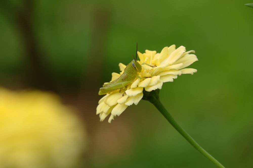 Photograph by Ari Dwi Timurti