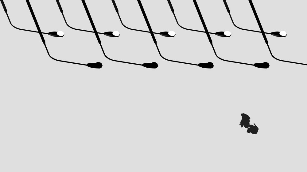 Photograph by Daniel Mehrani