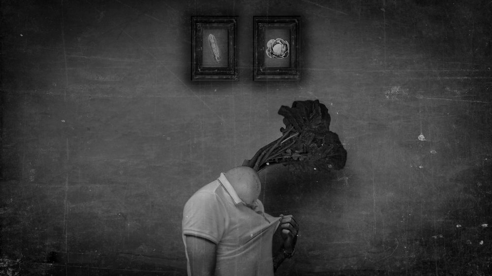 Photograph by Daniel Mehrani