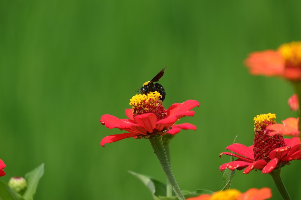 Photograph by Ari Dwi Timurti