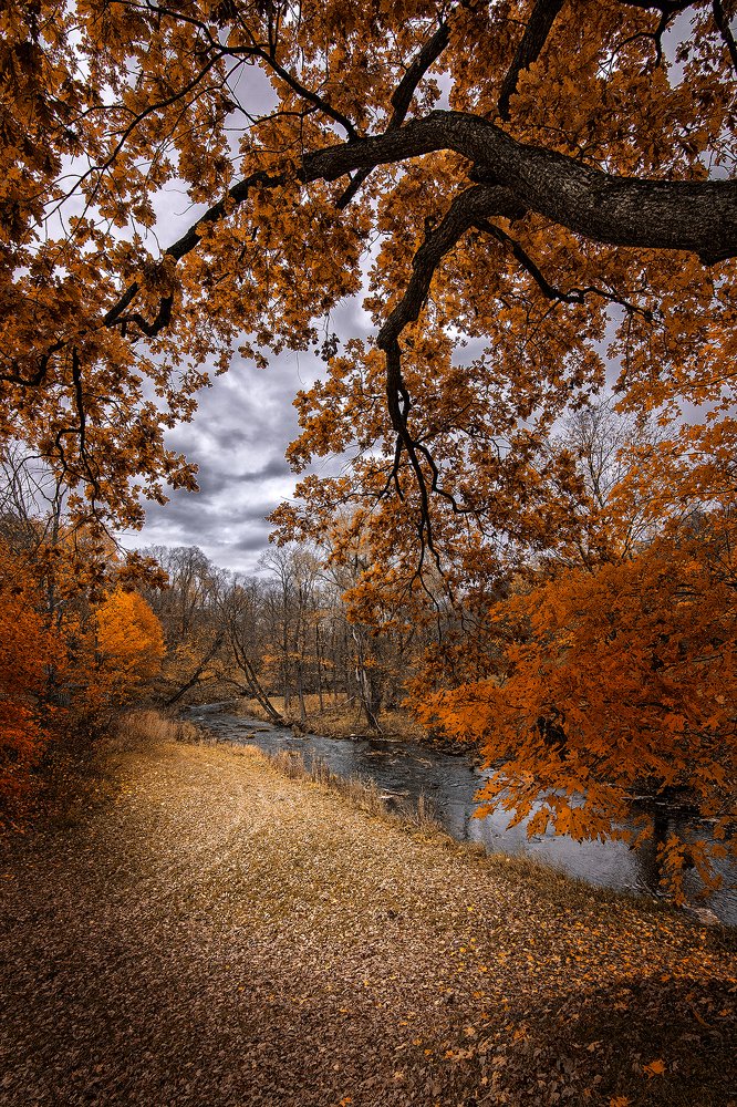 Фотография автора Aleksandr Kurnosov