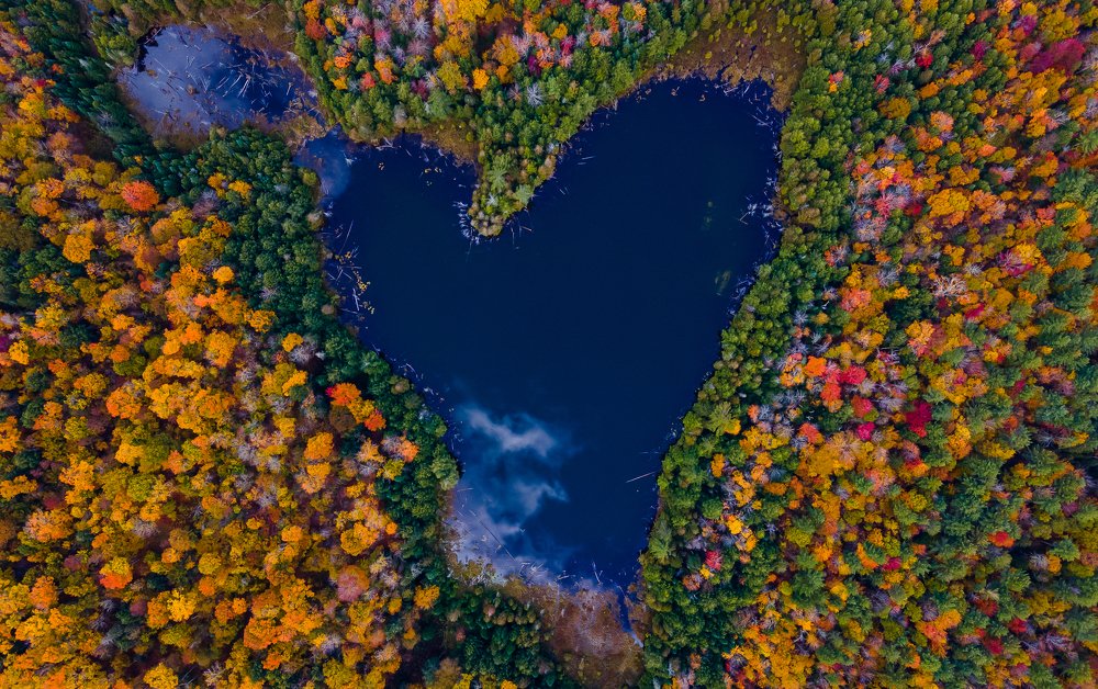 Nature's Heart