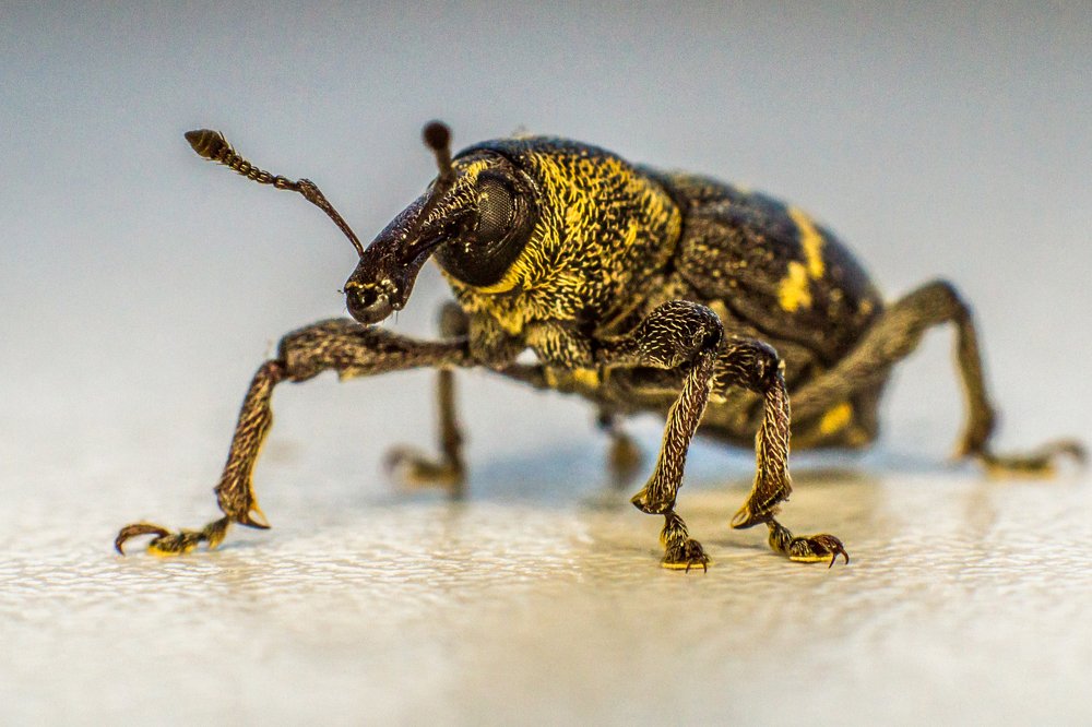 Photograph by Дмитрий Пасынков