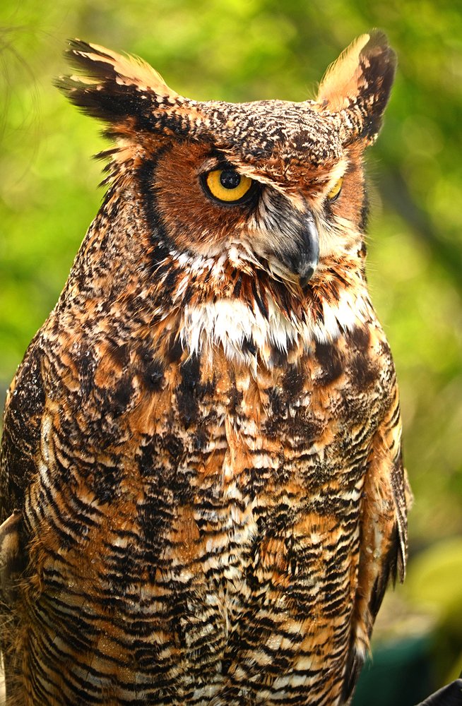 Photograph by Liliana Grup