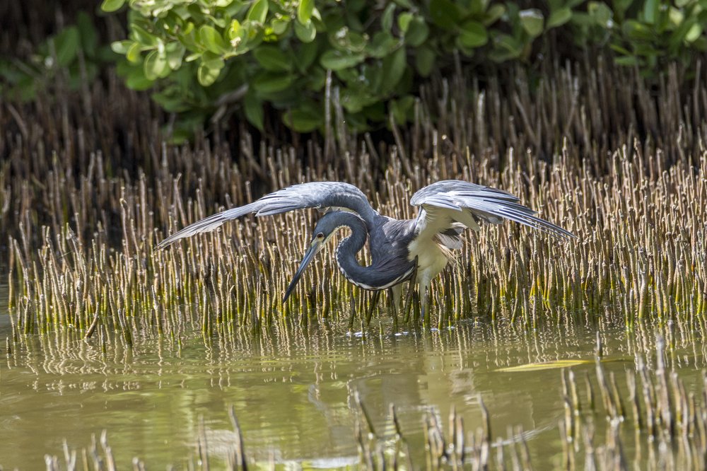 Photograph by Lidia Losada Campaña