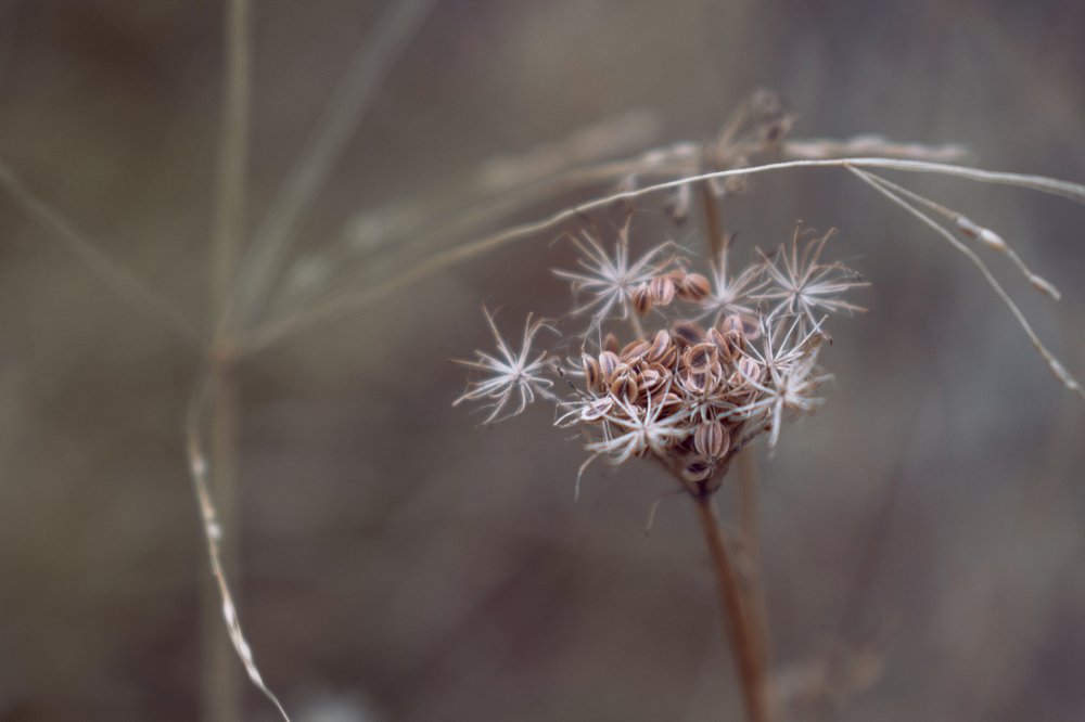 Photograph by Дарья Богославская