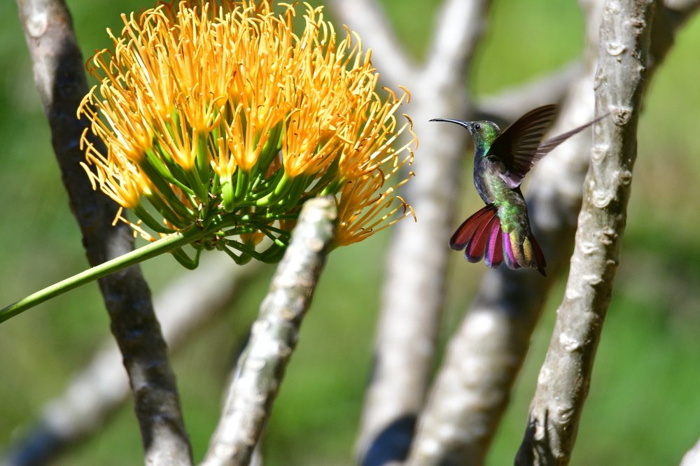 Photograph by Lidia Losada Campaña