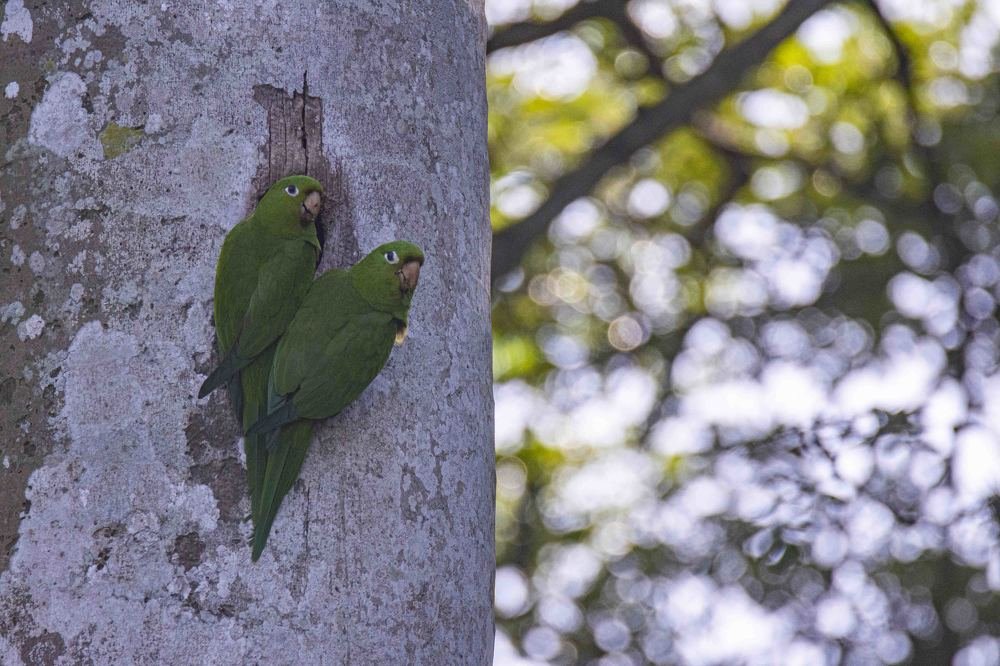 Photograph by Lidia Losada Campaña