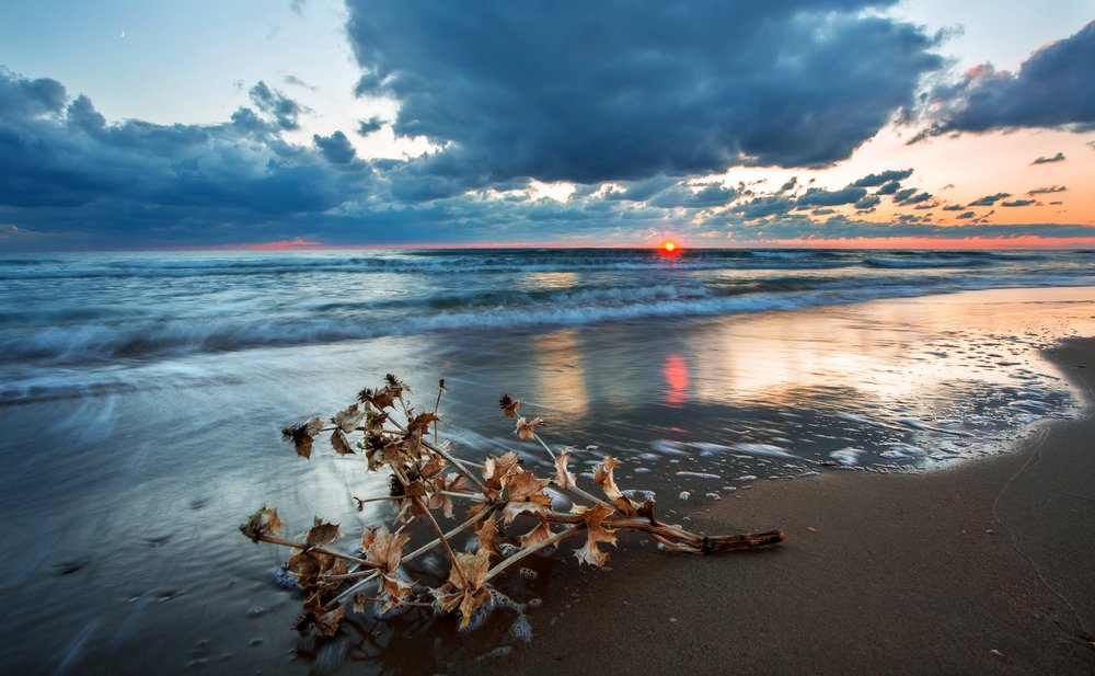 Фотография автора Vyacheslav Lozhkin