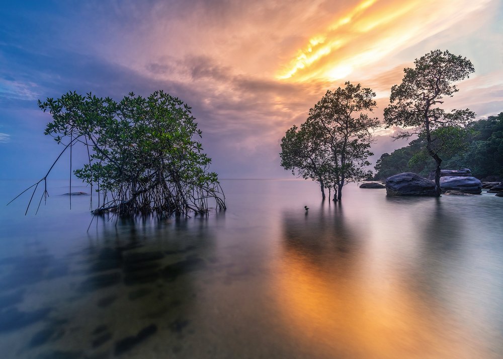 Photograph by Cao Tuan