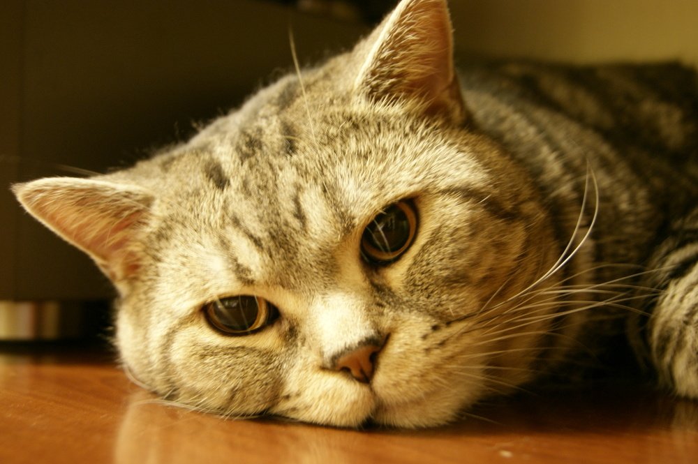 Photograph by Андрей Хитрун