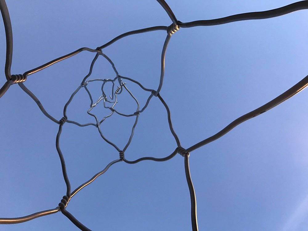 Photograph by Анна Куманцова