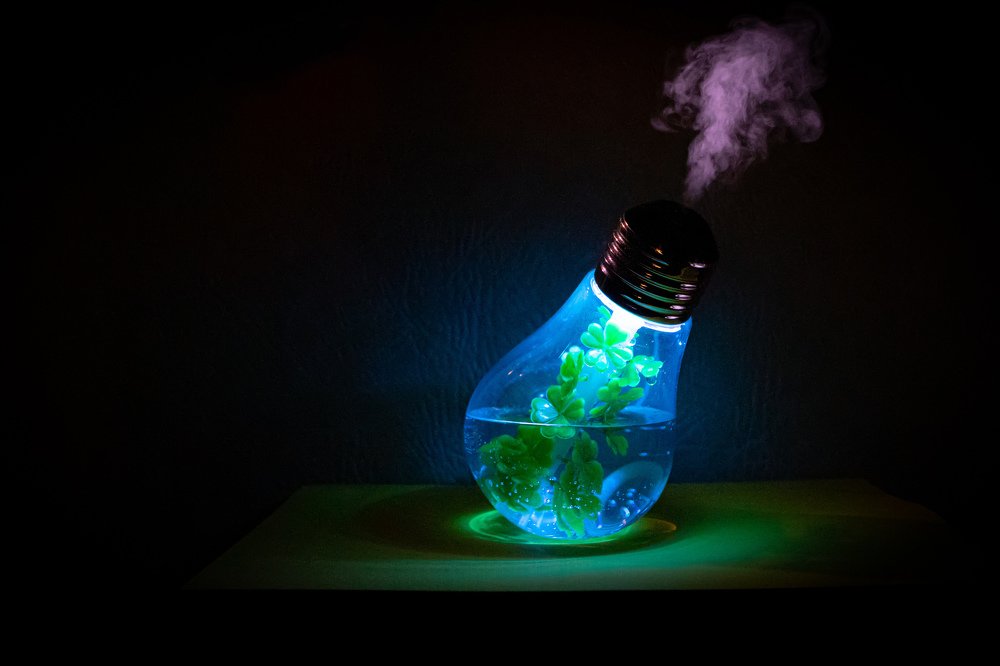 Фотография автора Алексей Гнедчик