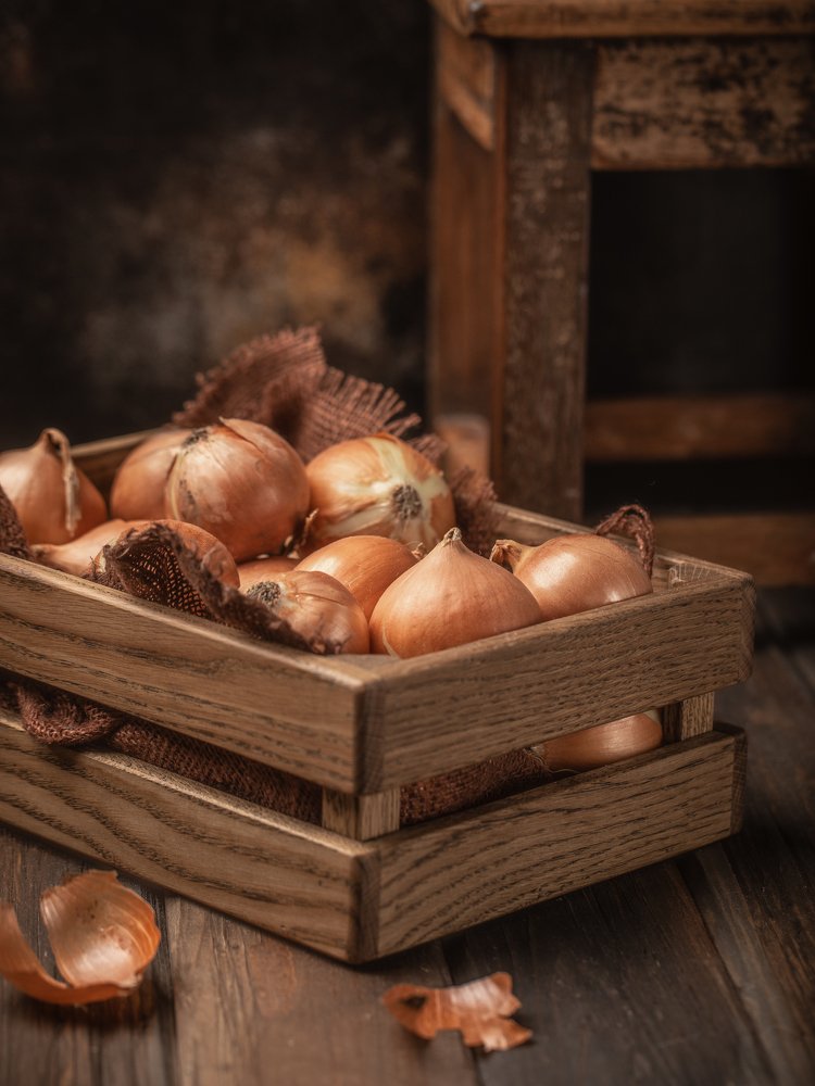 Фотография автора Мария Сурмачева