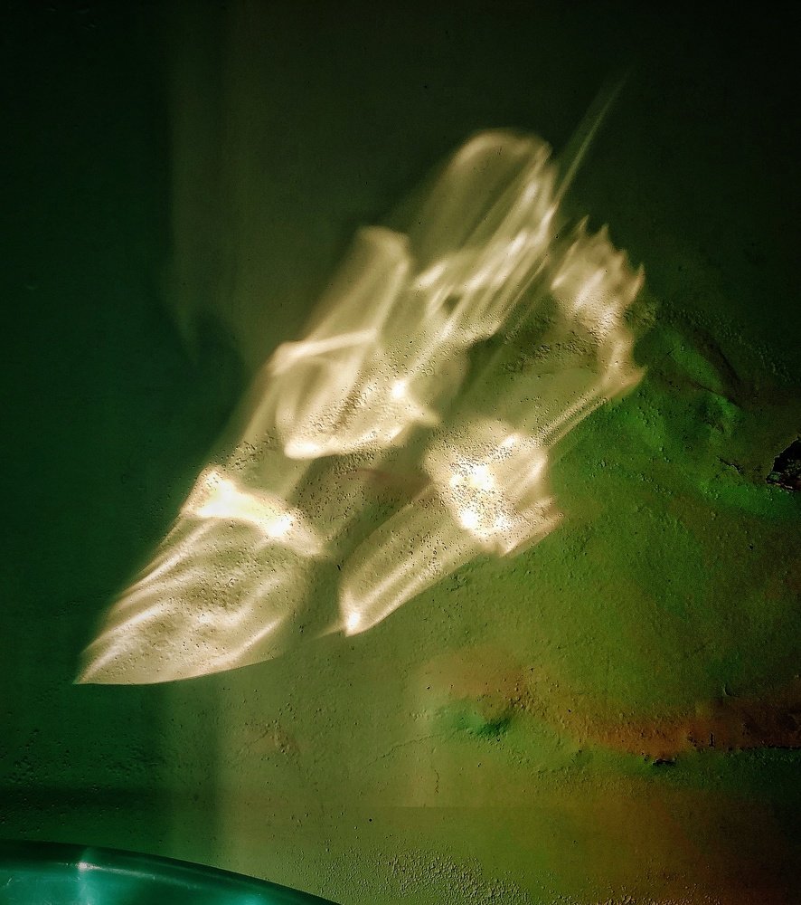 Photograph by Asamanj Maiti