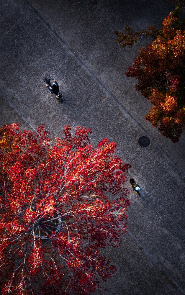 Photograph by si ong the