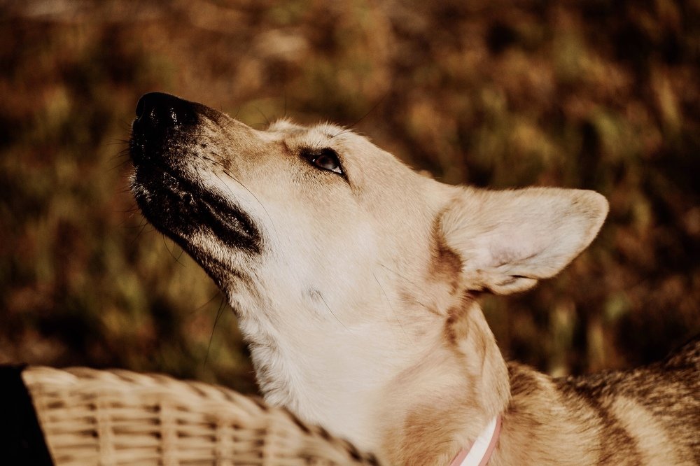 Photograph by Юлия Брежнева