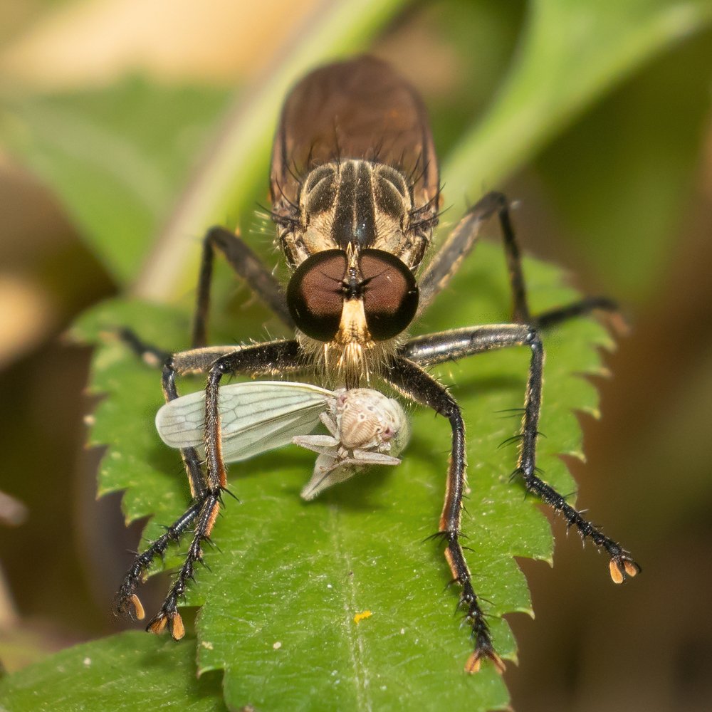 Photograph by Ritesh Manandhar
