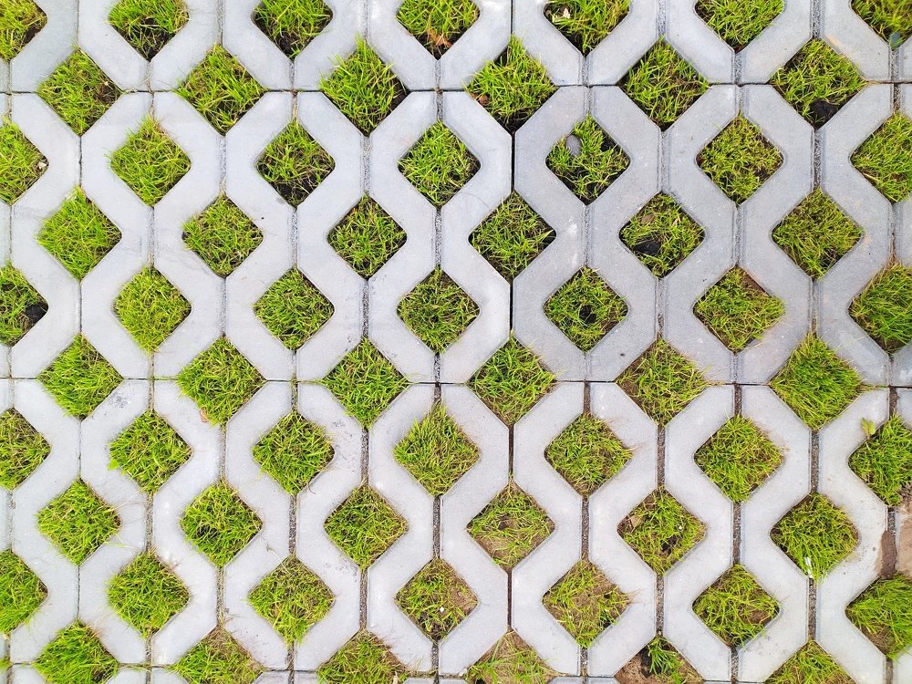 Photograph by Светлана Семенова