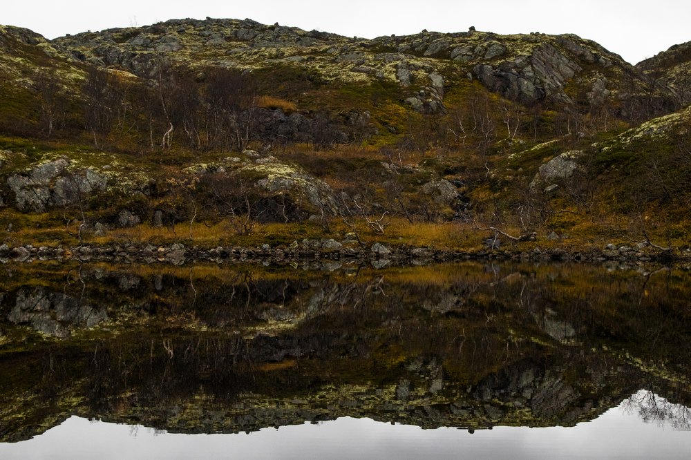 Photograph by Екатерина Якель