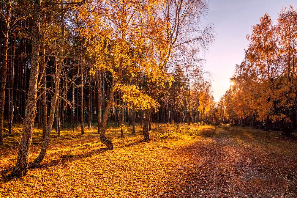 Photograph by Anzela Bazyk