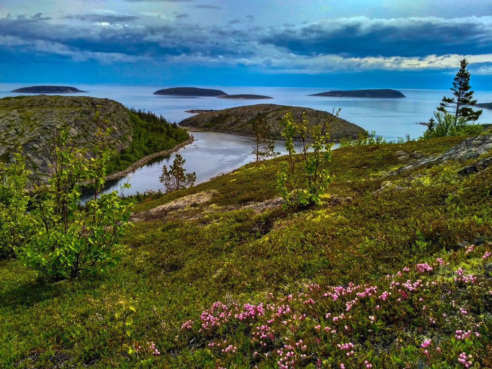 Photograph by Татьяна Шелудяк