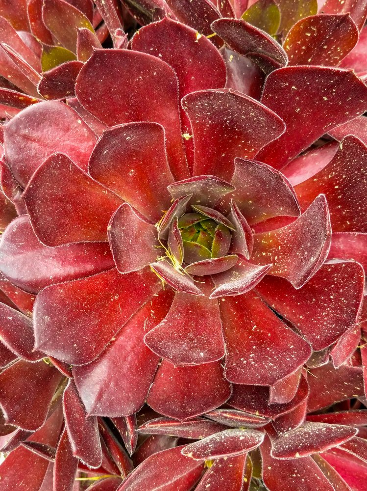 Photograph by Татьяна Шелудяк