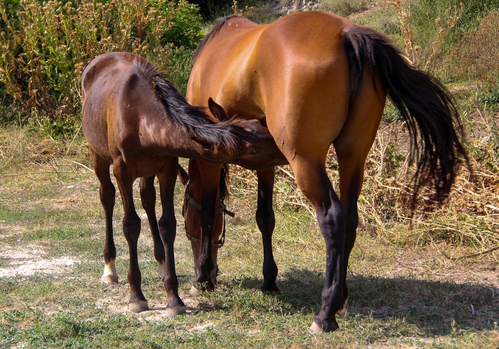 Photograph by Татьяна Шелудяк