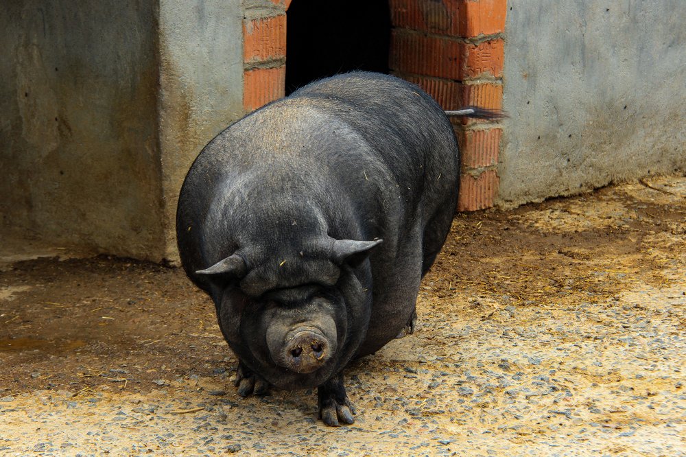 Photograph by Татьяна Шелудяк