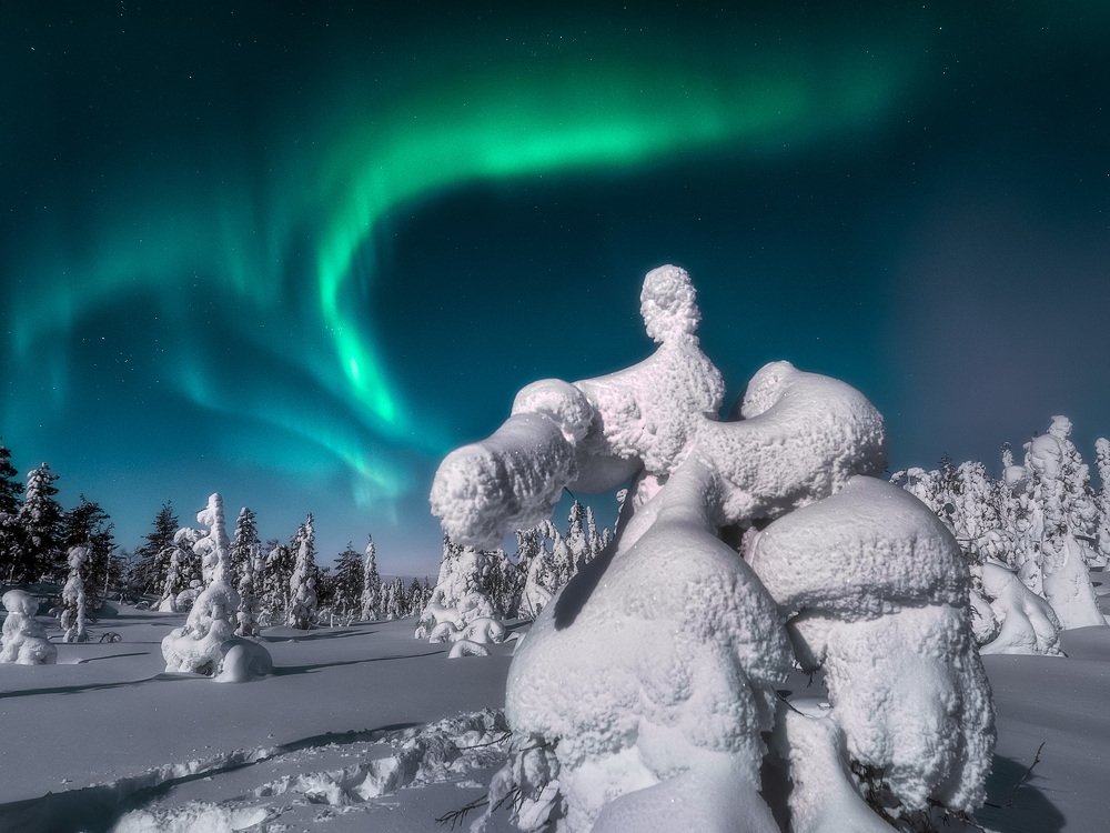 Photograph by Андрей Баскевич