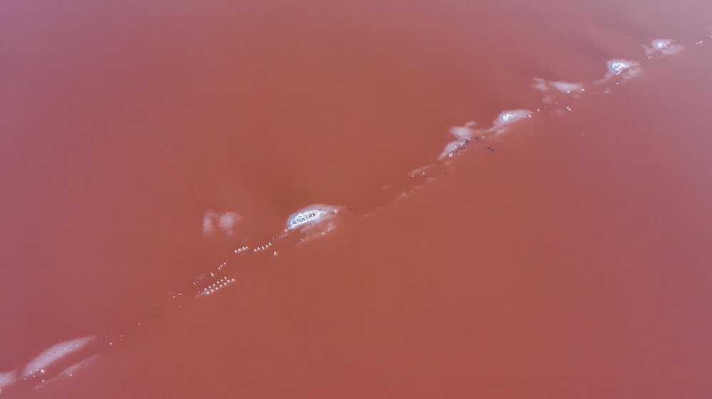 Photograph by Сергей Лазуткин