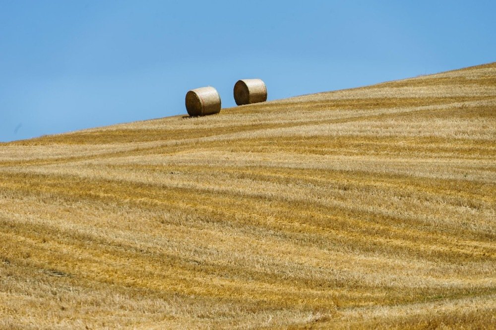 Фотография автора Нина Кулишова