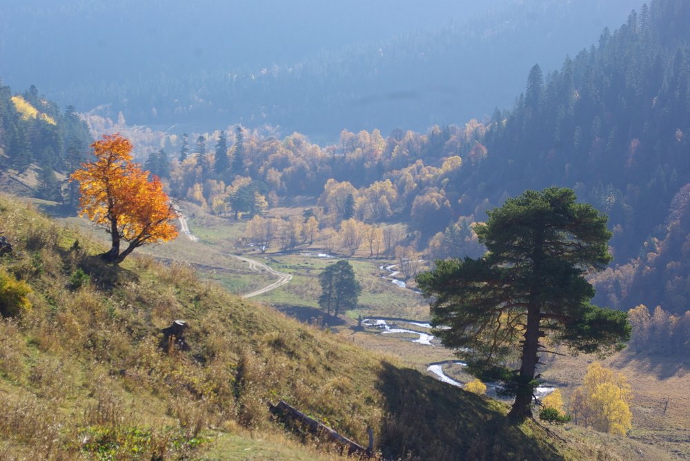 Photograph by Андрей Любимов